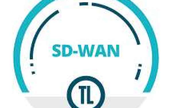 Let’s Get Deep Inside Best SD-WAN Providers Online