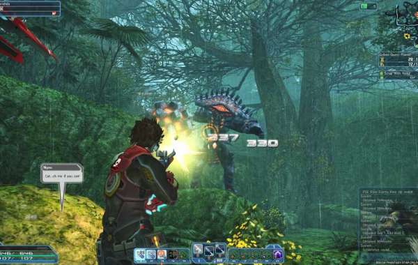 Phantasy Star Online 2 is a entirely free-to-play sport
