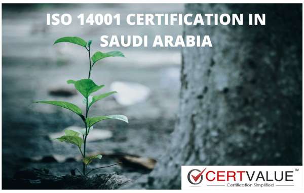 Disadvantages of ISO 14001 in Saudi Arabia, and how to overcome them?