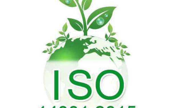 Examples of ISO 14001 objectives based on the different company sizes