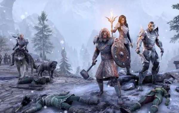 What should novice players pay attention to after entering Elder Scrolls Online
