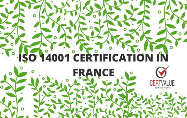 How ISO 14001 implementation in France helps reduce energy consumption