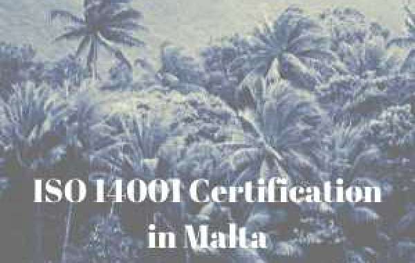 How to organize a training program for ISO 14001 Certification in Malta
