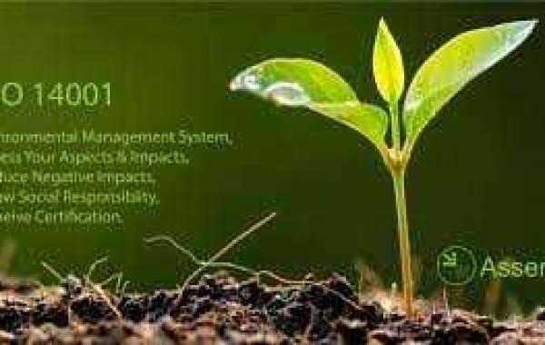 Scope and procedure of the Environmental Management System for organizations in Kuwait?