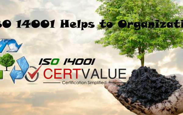 How can ISO 14001 help improve a company’s total quality management?