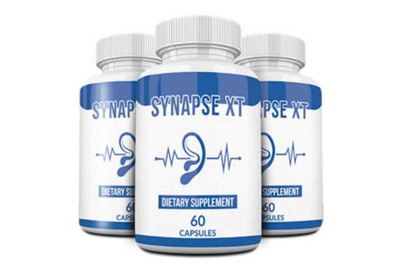 Learn About Various Concepts About Synapsext