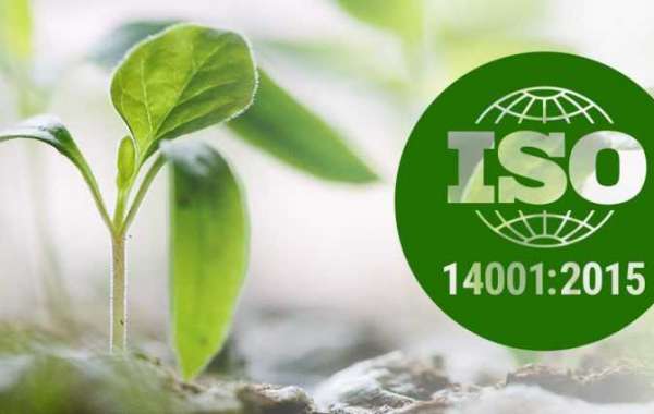How could ISO 14001 assistance improve an organization's absolute quality administration