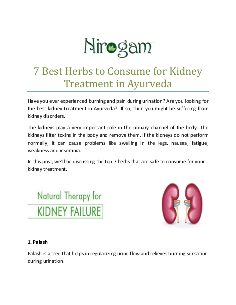 7 Best Herbs to Consume for Kidney Treatment in Ayurveda