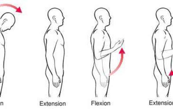 Final Flexion Extension Abduction Adduction Worksheet Serial X32 .rar Pc