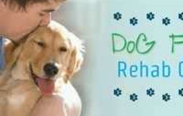 Apply Pet Friendly Drug Rehabs Order To Gather All Vital Details