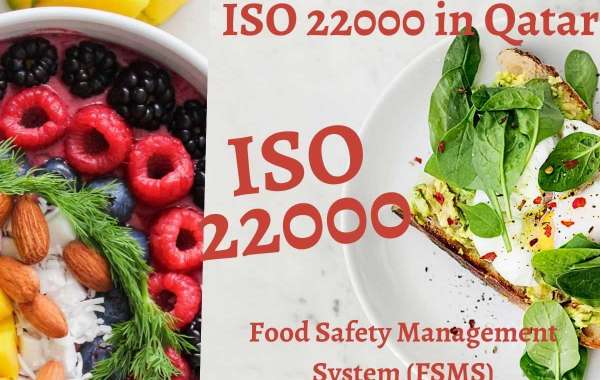 Best ISO 22000 Certification in Qatar