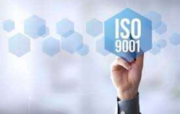 What is the History and future of the ISO 9000 sequence of standards?