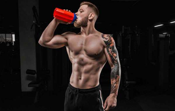 Check Out Information Best Protein Powder Supplements
