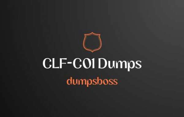 CLF-C01 Dumps rating withinside the very last examination