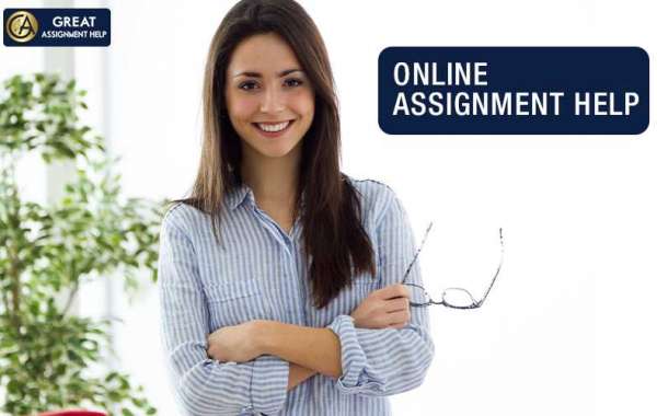 How can you fetch A+ grades through assignment help services from experts?