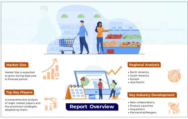 Plant-based Meat Market Dynamics | Industry Research Report Based on Trends and Scope Upto 2030