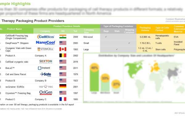 CELL THERAPY PACKAGING SERVICE PROVIDERS MARKET - CURRENT MARKET LANDSCAPE