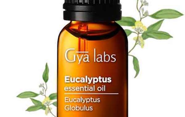 Unveiling the Refreshing Marvel: Eucalyptus Essential Oil