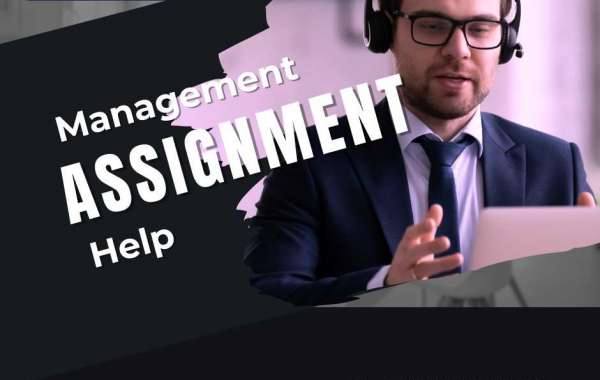 Management Assignment Help: Your Key to Success