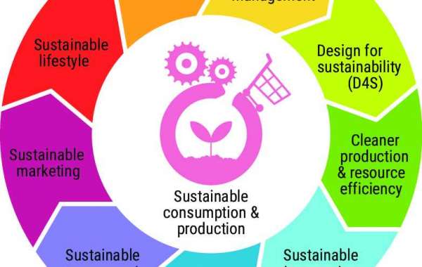 Sustainable Consumption Project