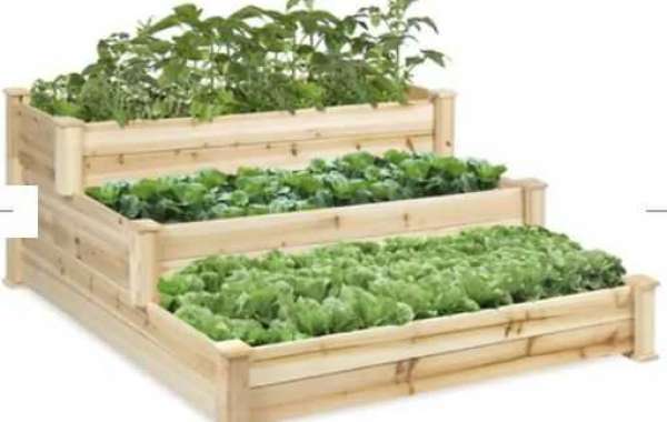 Unleashing Your Gardening Potential With A Range Of Raised Garden Beds