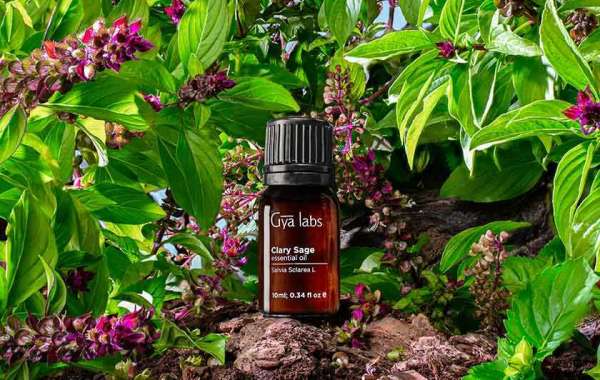 Buy Clary Sage Oil: Experience Nature's Bliss