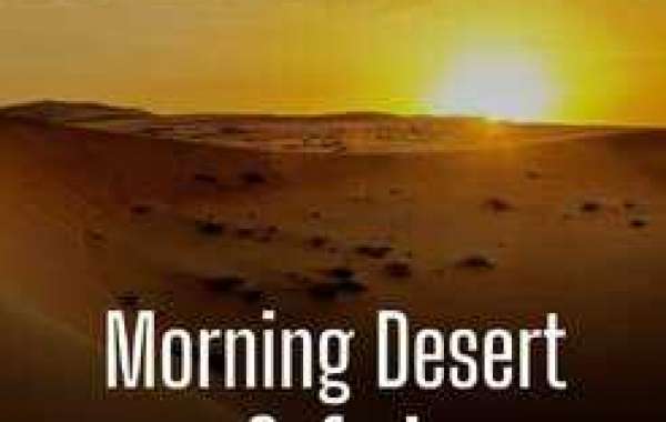 Dubai Morning Desert Safari Tour Packages - KafasTourism
