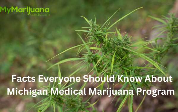 Facts Everyone Should Know About Michigan Medical Marijuana Program