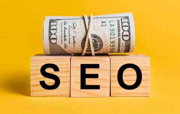 Unlocking Digital Success: Your Trusted SEO Agency in New Zealand