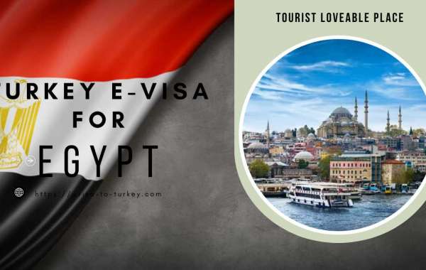 Navigating Turkey's E-Visa Process for Egyptian Travelers: A Comprehensive Guide