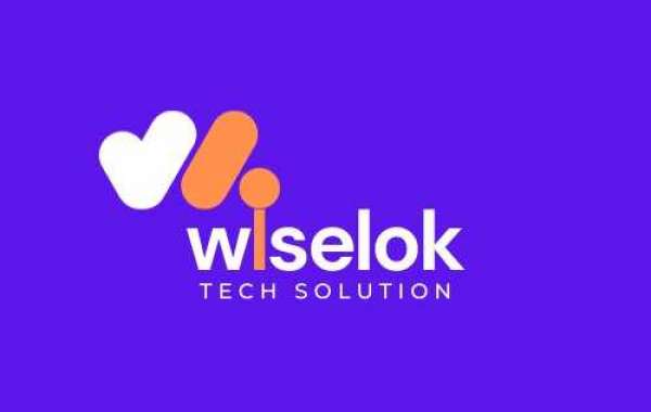 Email Marketing Services - Wiselok Tech Solution