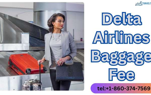 Delta airlines baggage fee explained and how to avoid them in 2024?