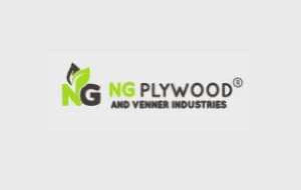 Leading Manufacturers And Supplier of Plywood