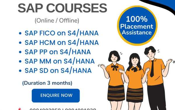 SAP + Placement Assistance: The Winning Formula for Pune Professionals