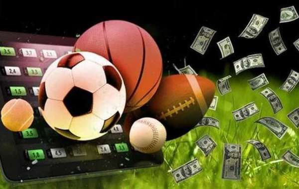 Experience of professional sports bettors