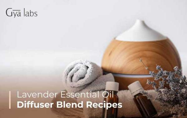 The Soothing Power of Lavender Essential Oil for Your Diffuser