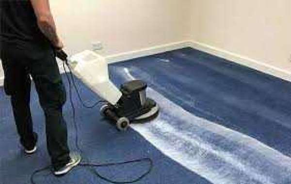 Professional Carpet Cleaning: The Aesthetic Solution for Every Home