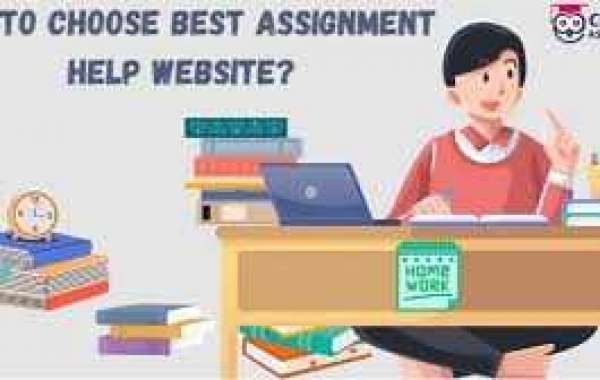 top assignment help website