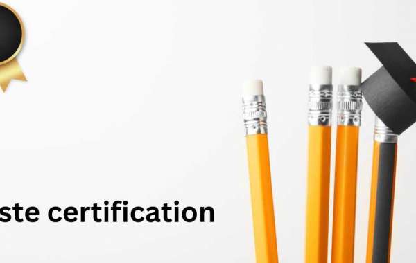 How CSTE Certification Can Lead to Senior Testing Roles