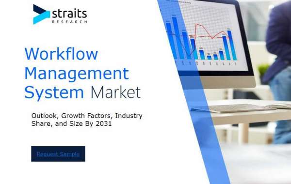 Global Workflow Management System Market Overview : Size, Share, and Future Trends Forecast