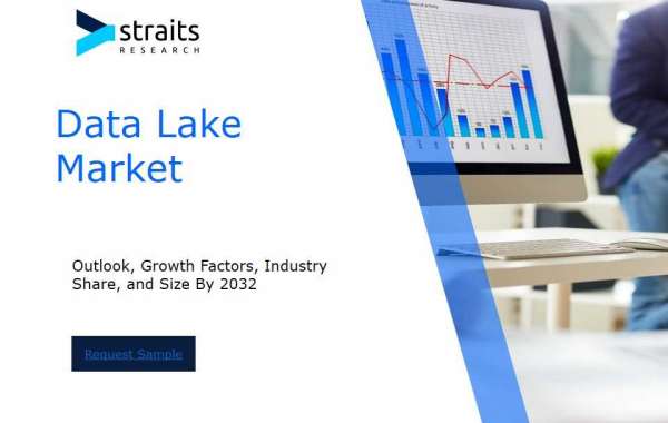 Data Lake Market Analysis Report: Size, Share, and Trends Forecast for the Next Period