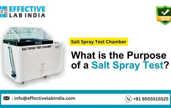 What is the Purpose of a Salt Spray Test?