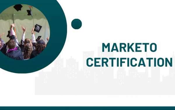 Marketo Practice Test by Dumpsboss: Guarantee Your Certification Success