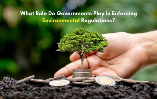 What Role Do Governments Play in Enforcing Environmental Regulations?