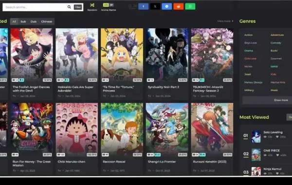 Zoro Tv – High-Quality Anime Streaming for All Fans